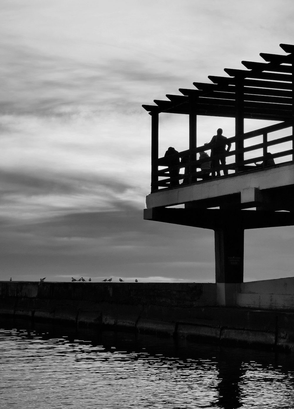 Foto en escala de grises del muelle de madera