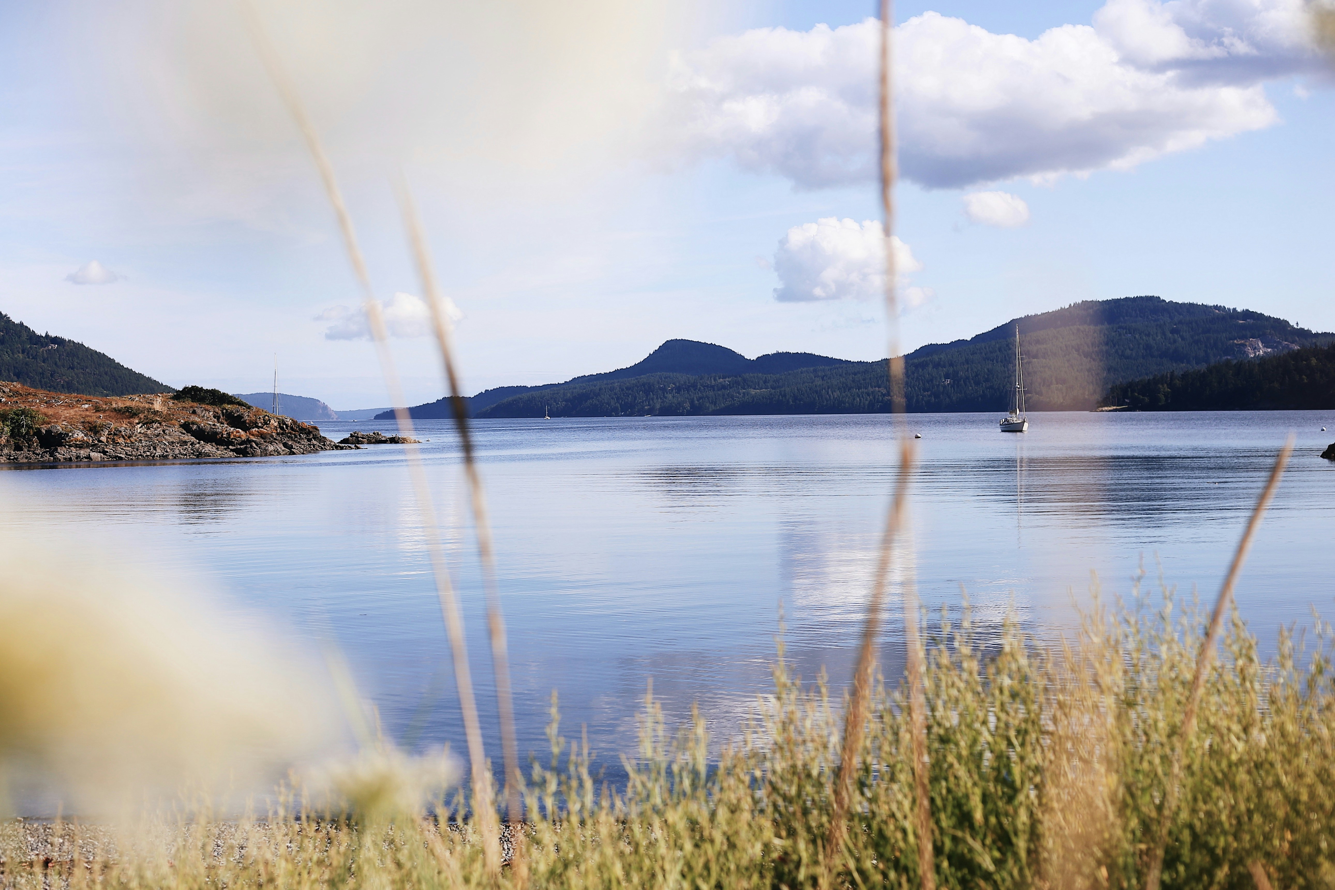 Photo by sydneyangove