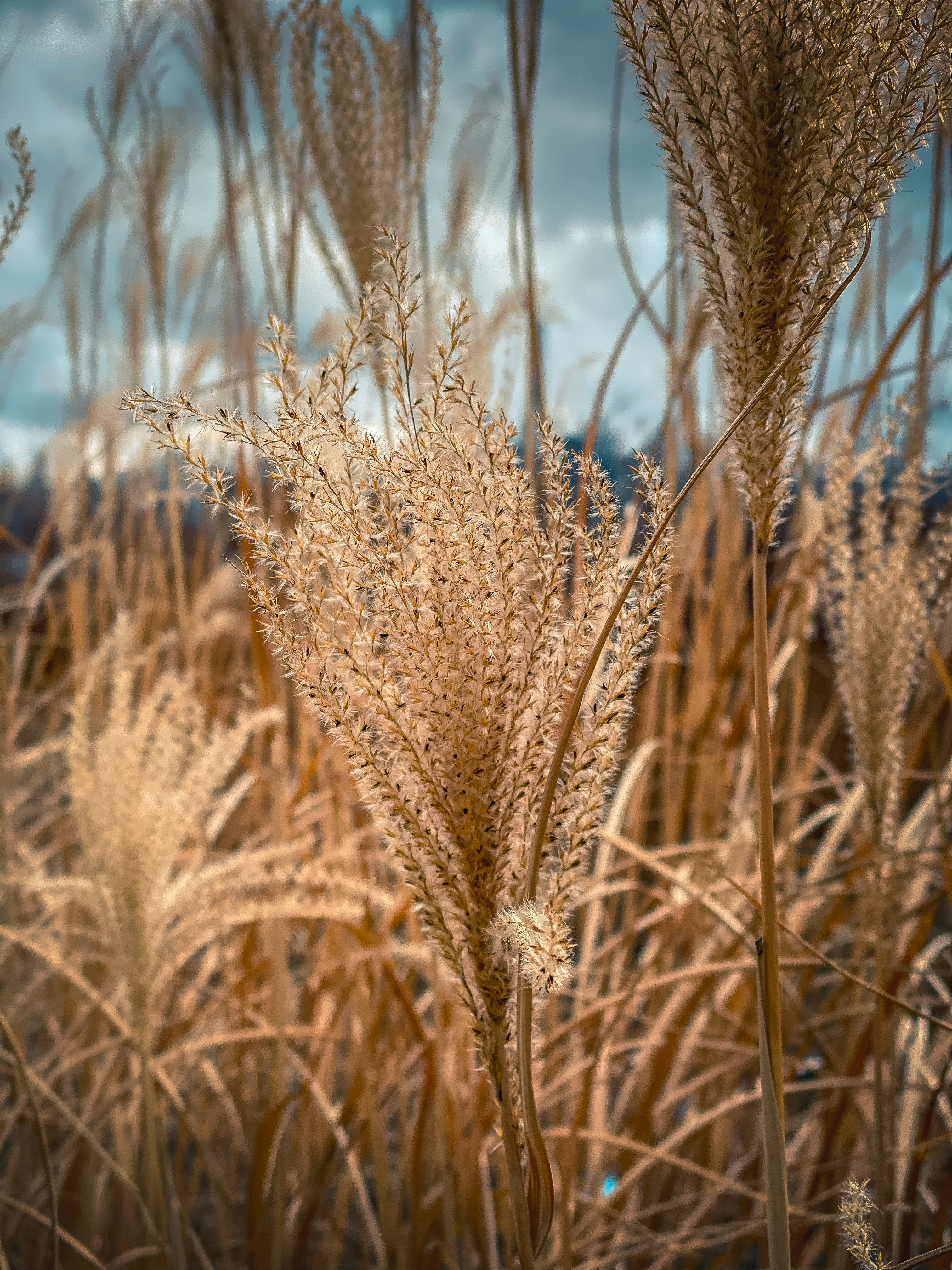 Photo by create4eyes