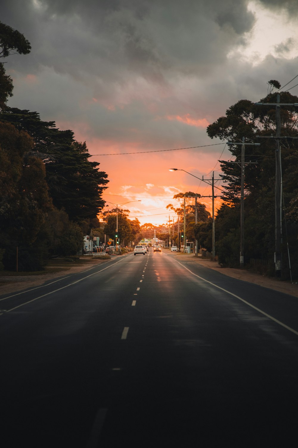 Graue Asphaltstraße zwischen Bäumen bei Sonnenuntergang