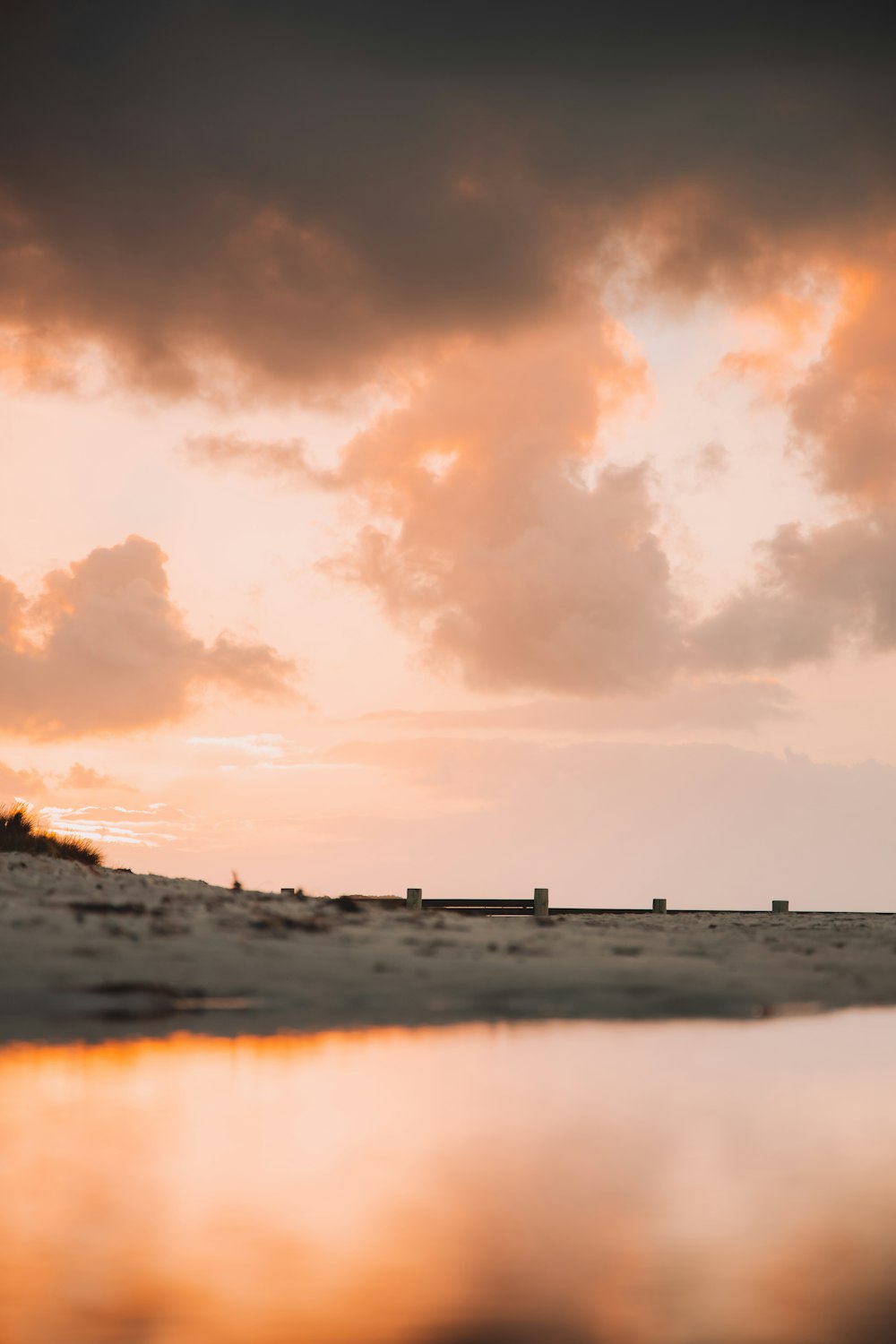 people on beach during sunset