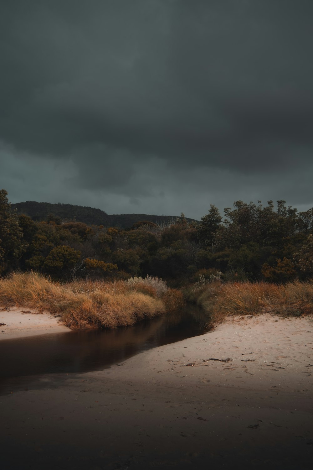 Campo de hierba verde bajo el cielo gris