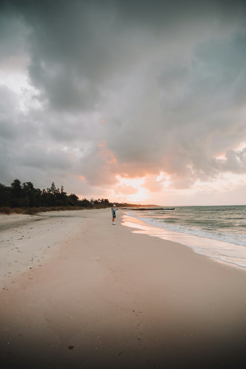 people on beach during daytime