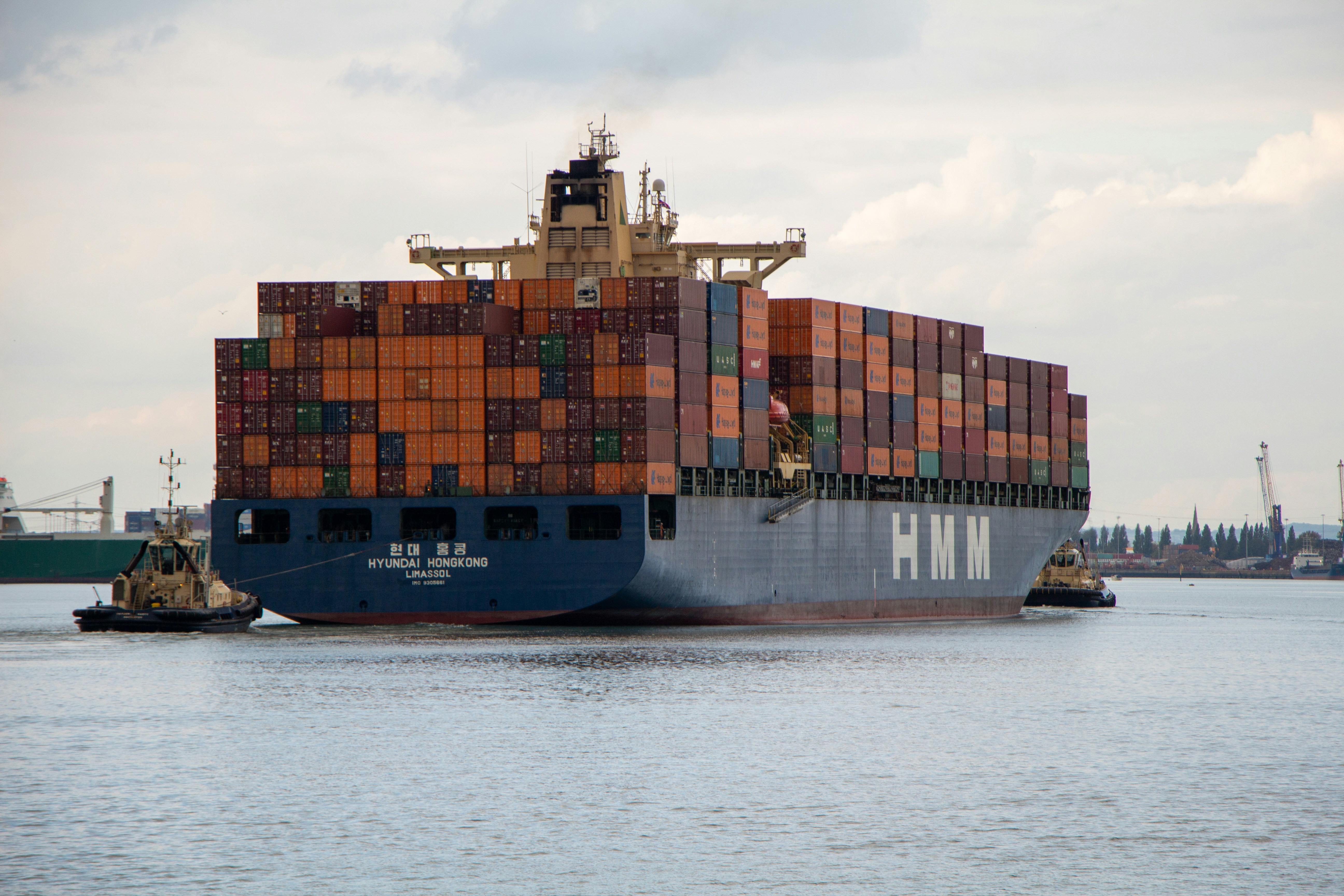 해외 배송 및 통관 문제