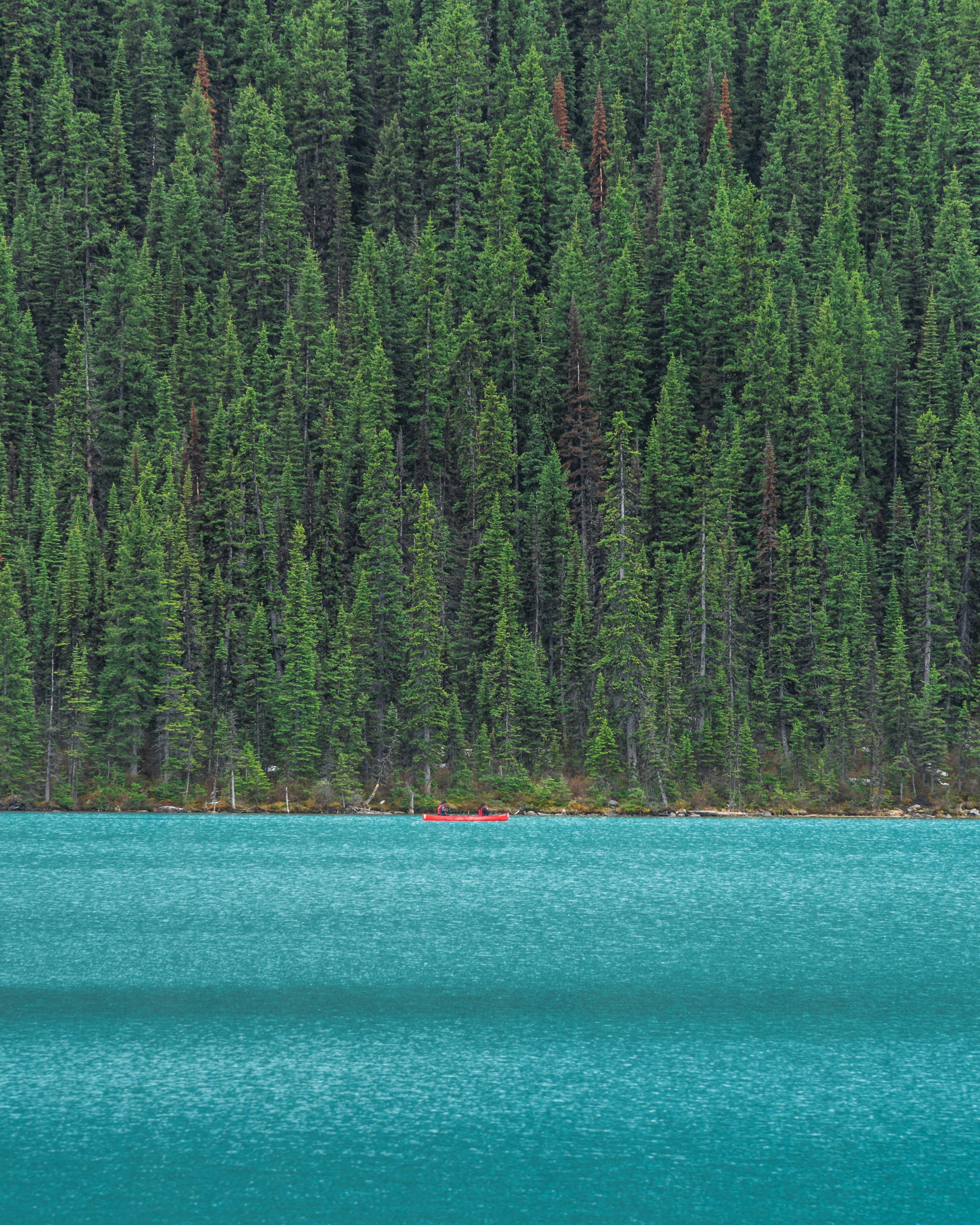 Photo by aperspectiveyeg