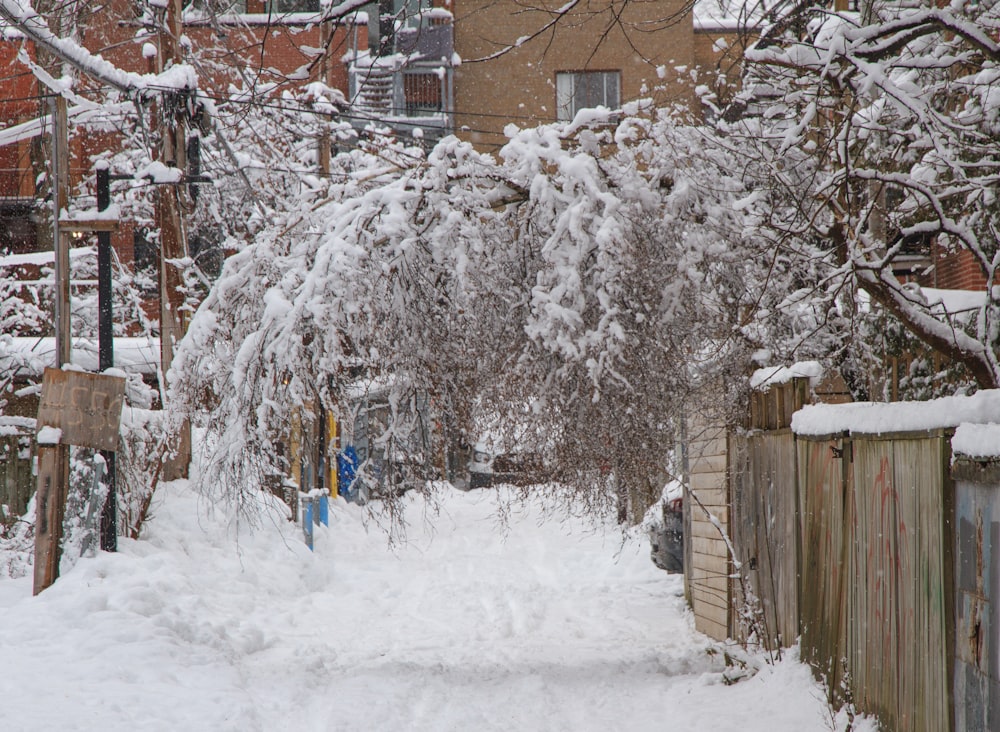 brown wooden house covered with snow