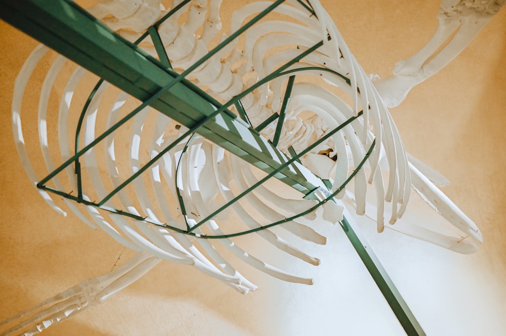 white spiral spiral stairs with green metal railings