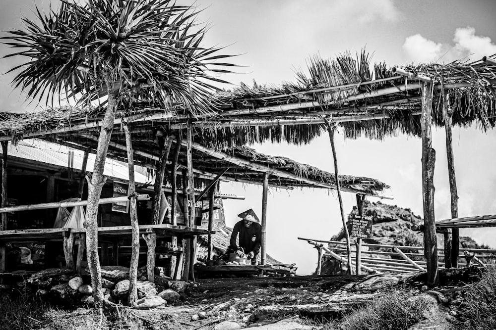 man sitting on chair near palm tree during daytime