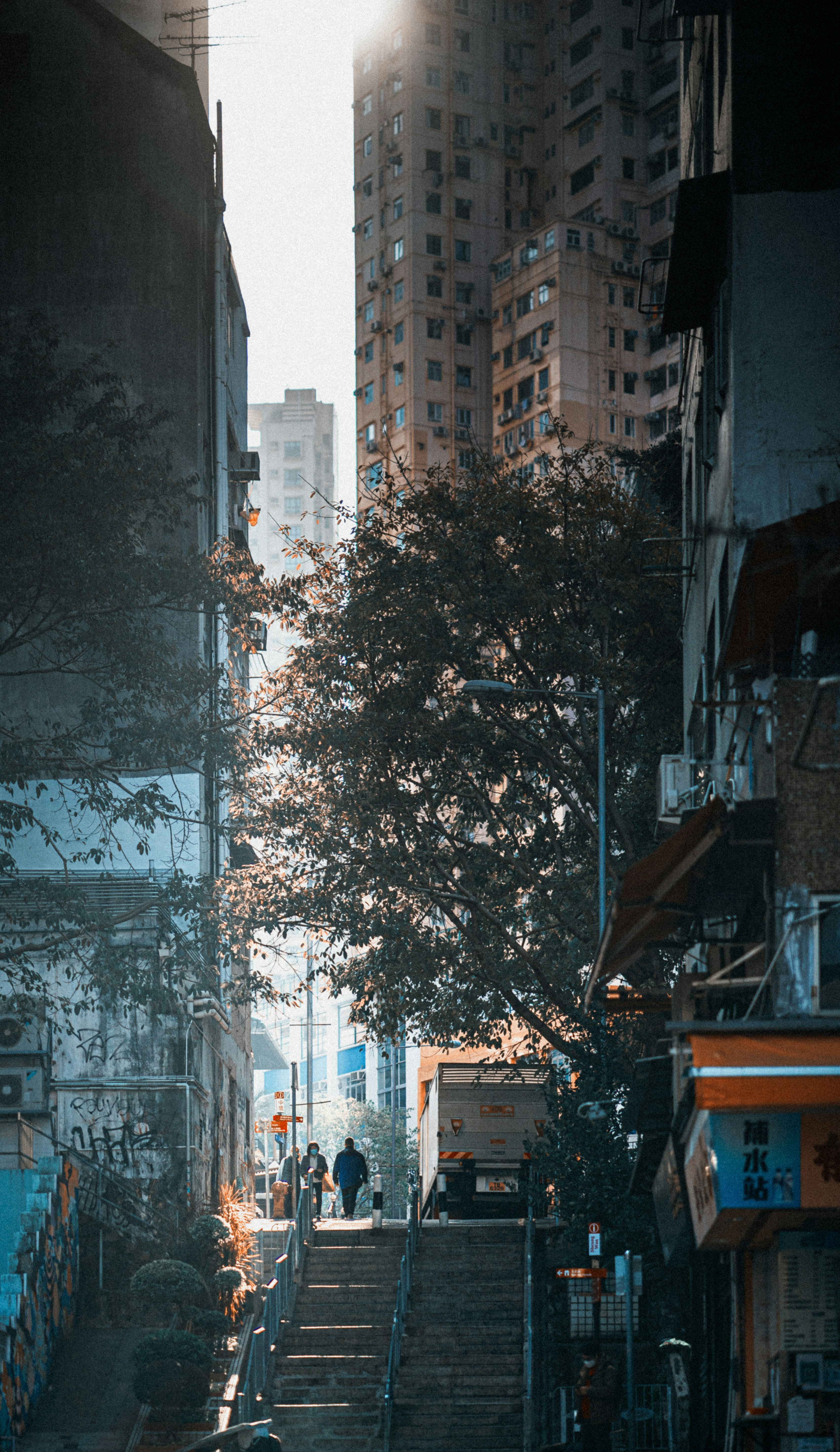 green tree near white concrete building during daytime