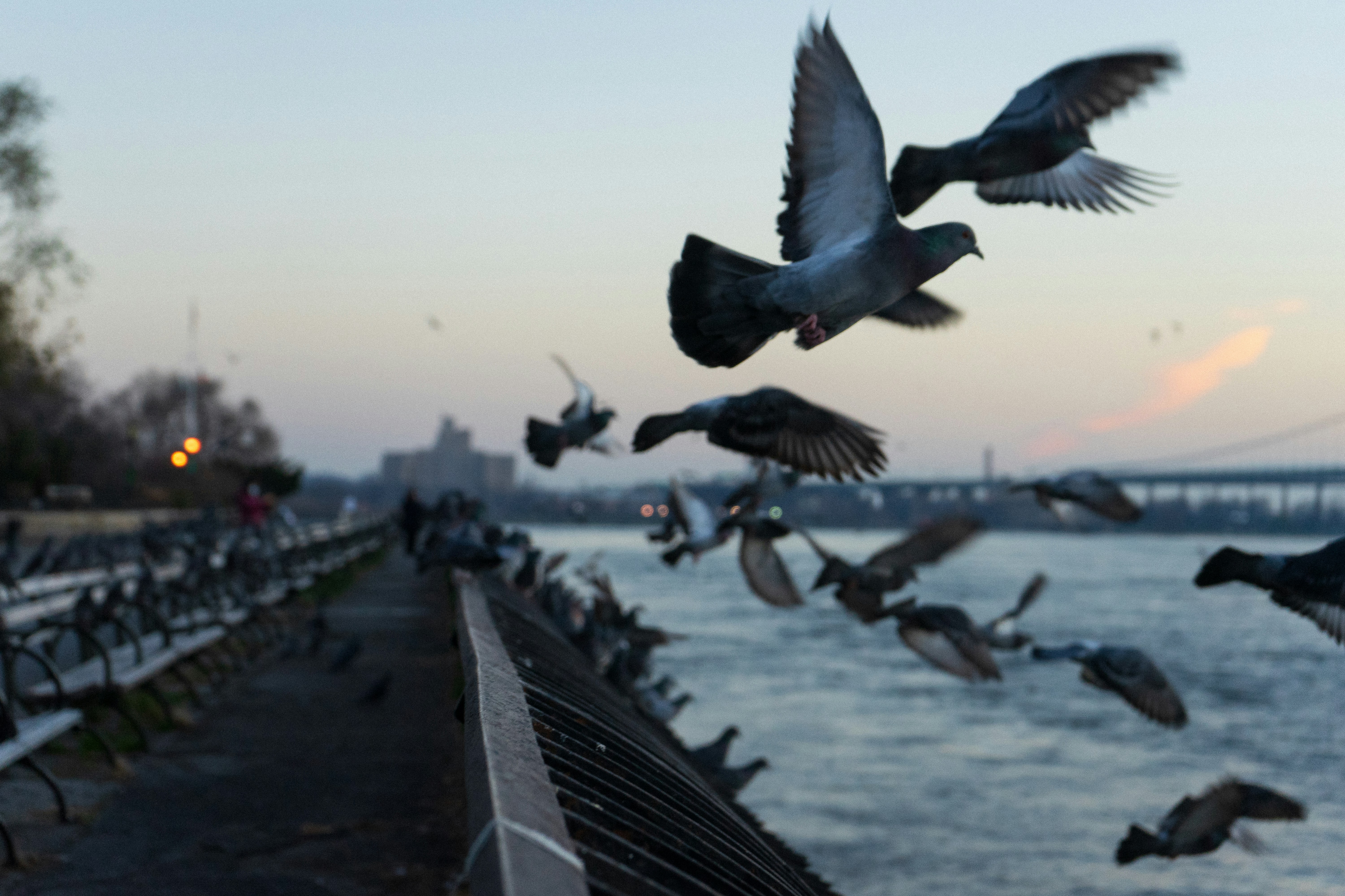 Photo by masahiro_naruse