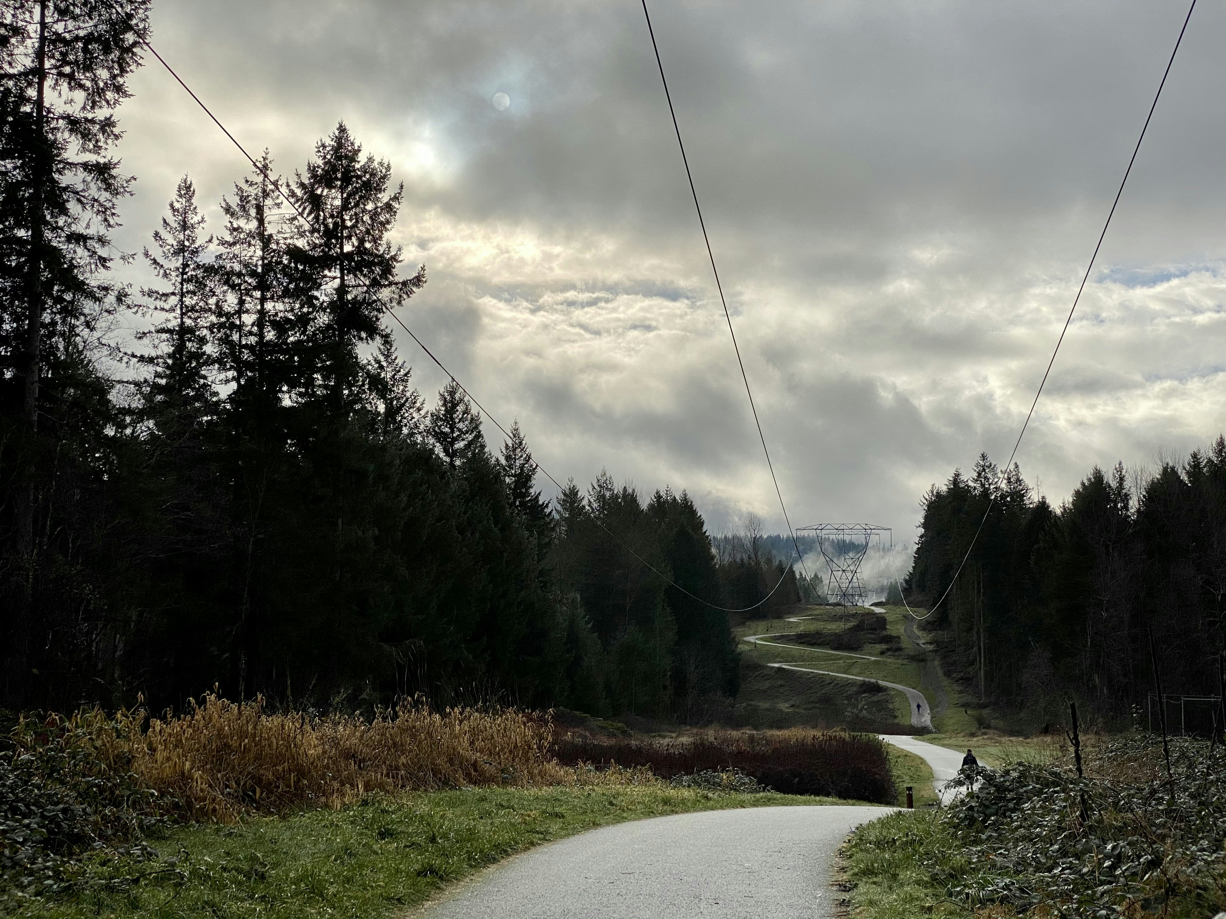 green trees beside road under cloudy sky during daytime