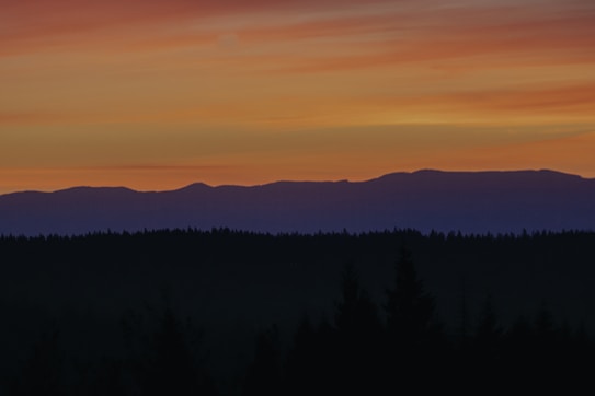 The image captures a serene landscape with a silhouetted forest in the foreground and a range of mountains in the background. Above the mountains, a vibrant sunset sky showcases a gradient of warm colors, transitioning from deep orange to soft yellow and hints of purple.