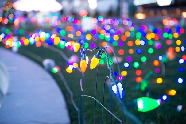 A colorful display of string lights is blurred in the background, with various vibrant hues like blue, green, red, and yellow. The lights are mounted on a wire fence that runs through a grassy area, creating a festive atmosphere.