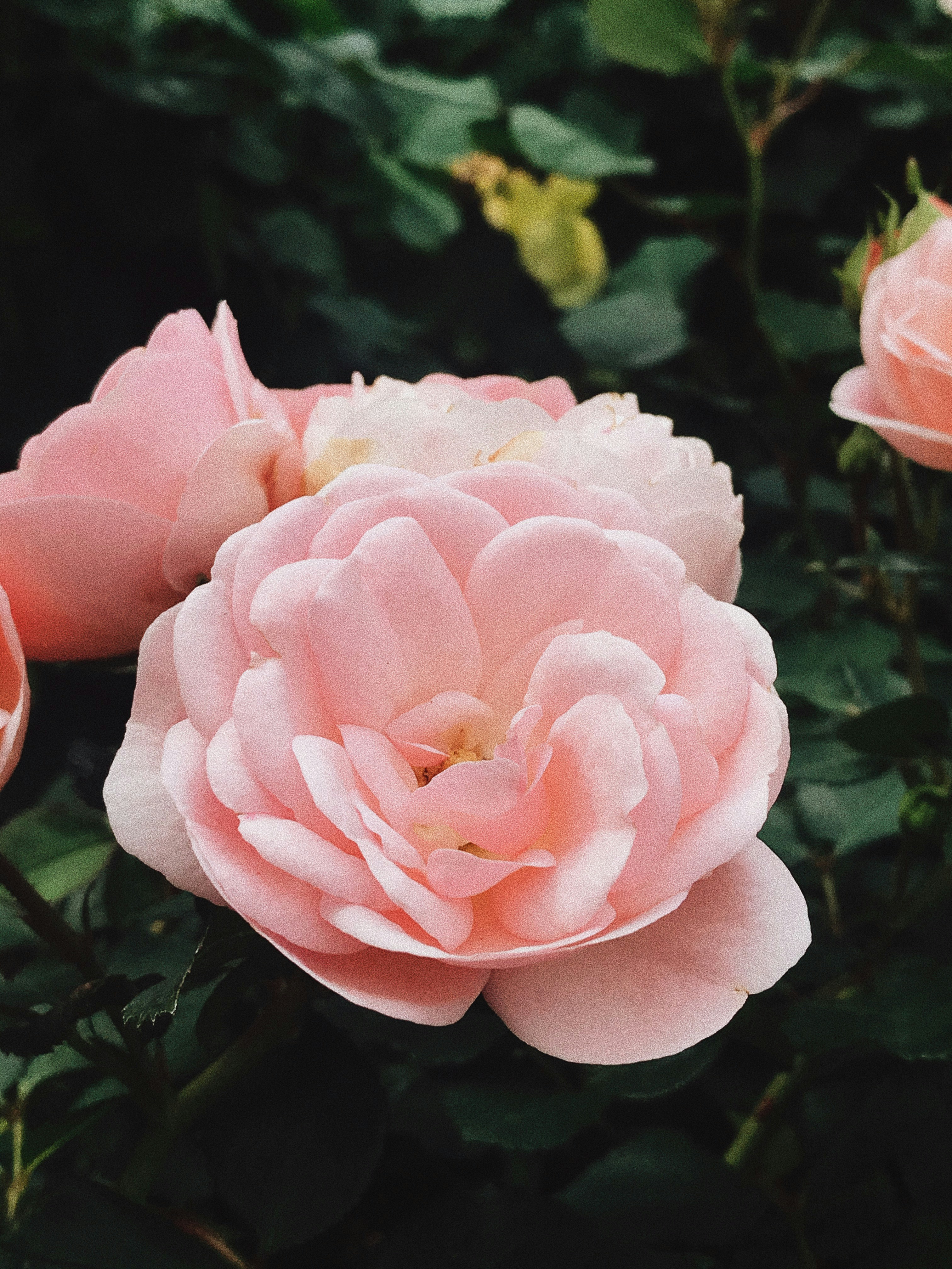 Photo by ttttangmo_w