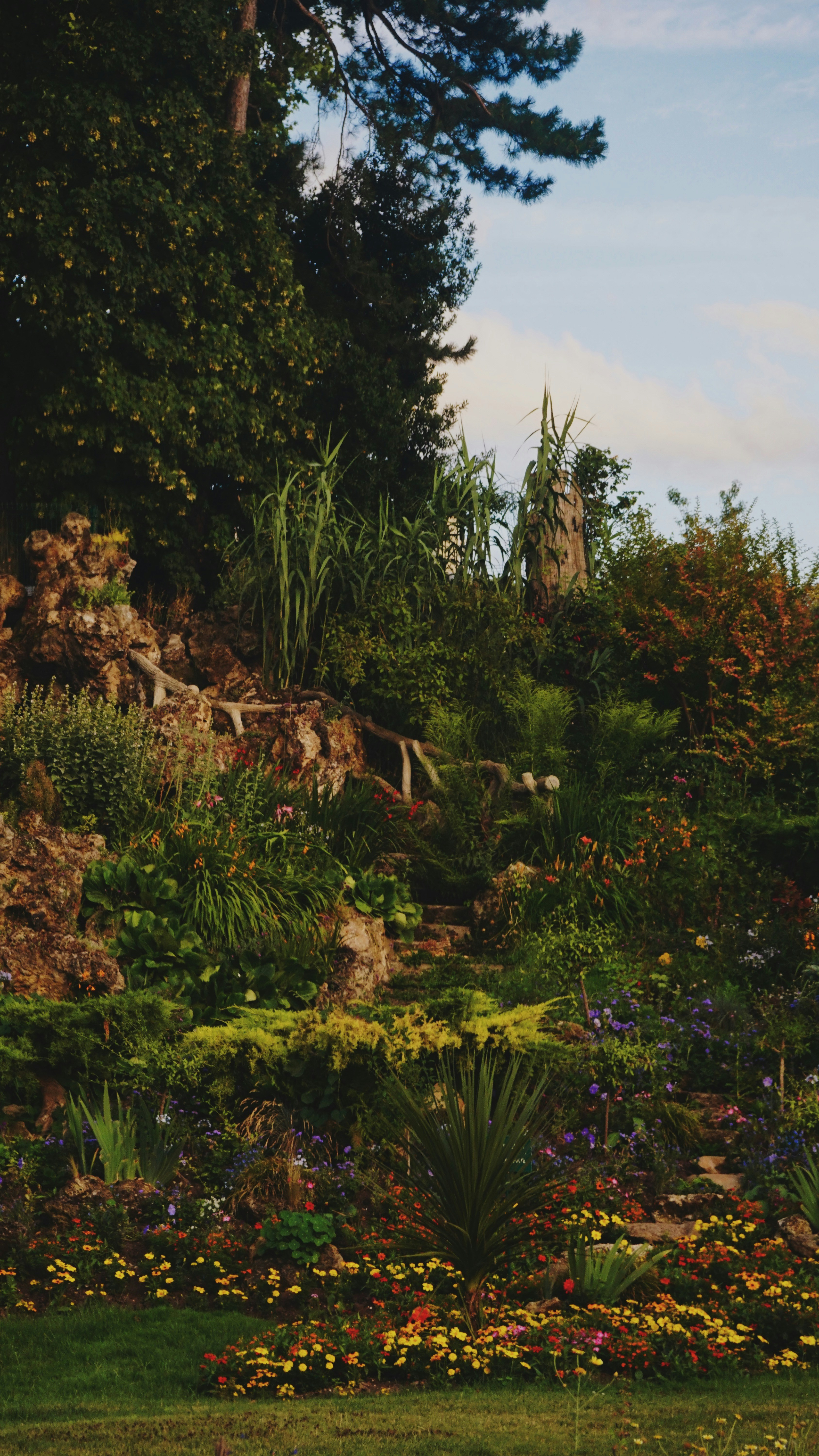 ไม้ใหญ่และไม้มงคล