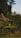 A well-maintained garden with vibrant flowers and lush greenery.