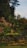A well-maintained garden with vibrant flowers and lush greenery.