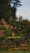 A lush garden with vibrant flowers and neatly trimmed hedges, showcasing a serene outdoor space.