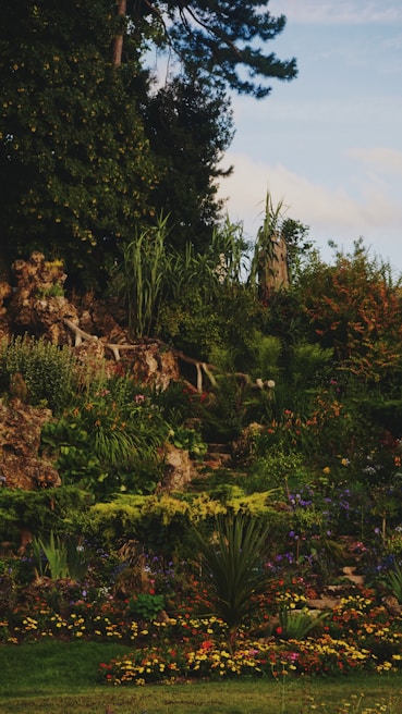 A beautifully maintained garden with lush greenery and vibrant flowers under the Dubai sun