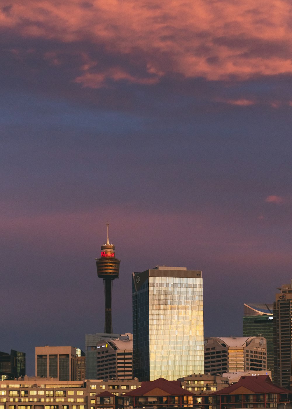 high rise building during sunset