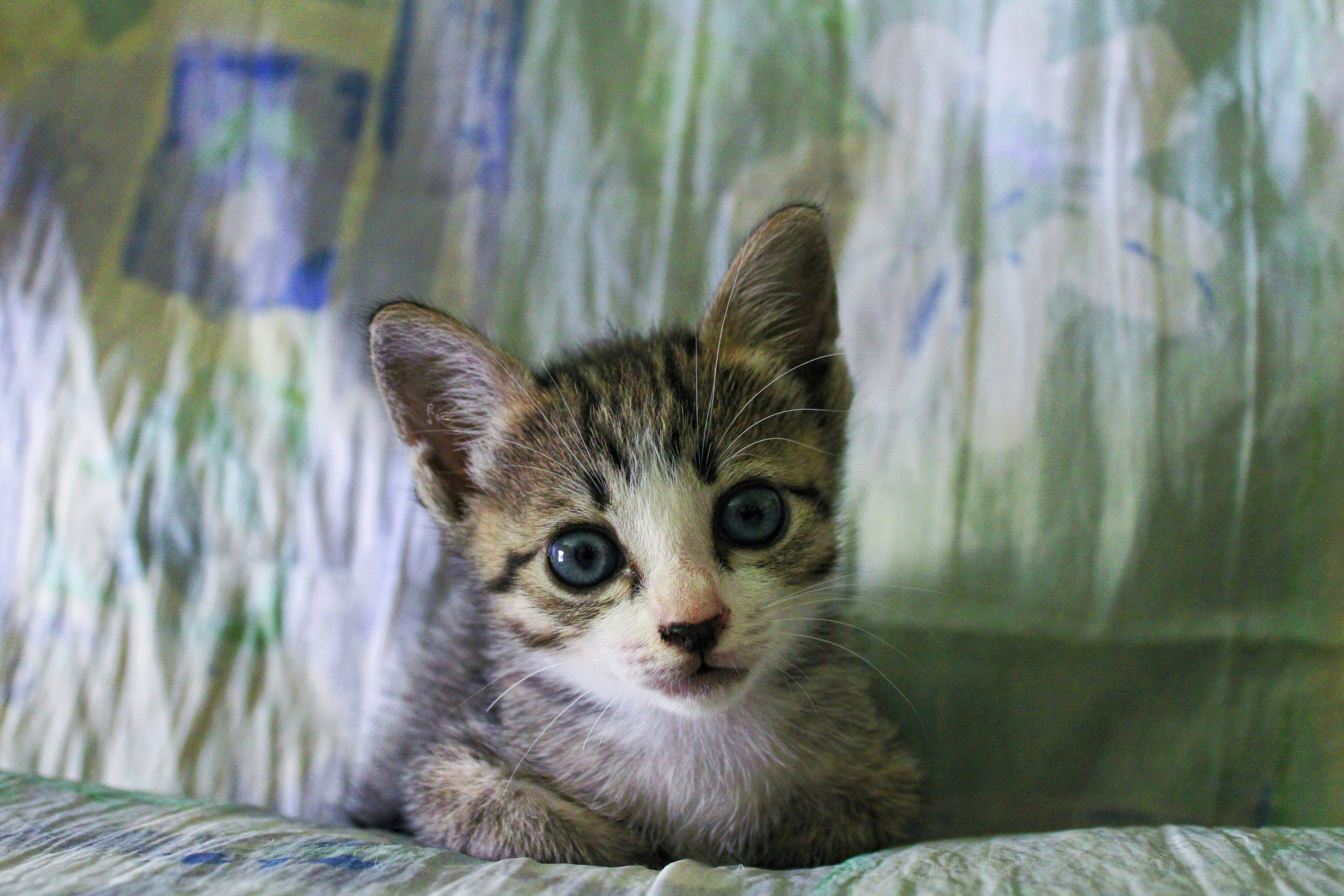 Photo by effisyazwani