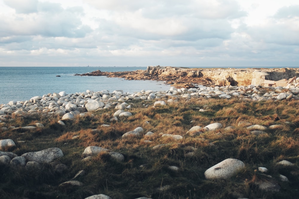 rocky shore under cloudy sky during daytime