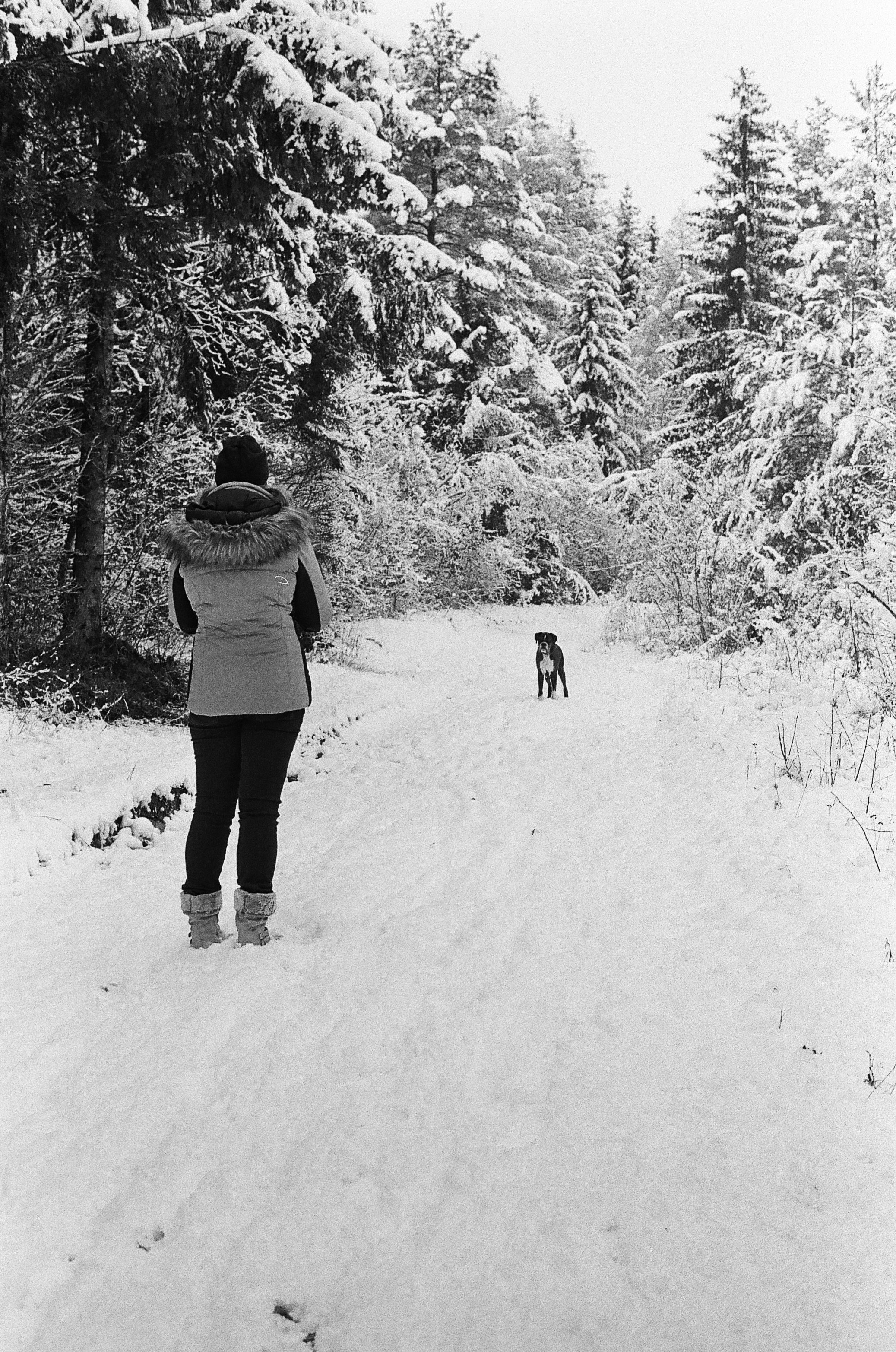 Photo by loriane_photography