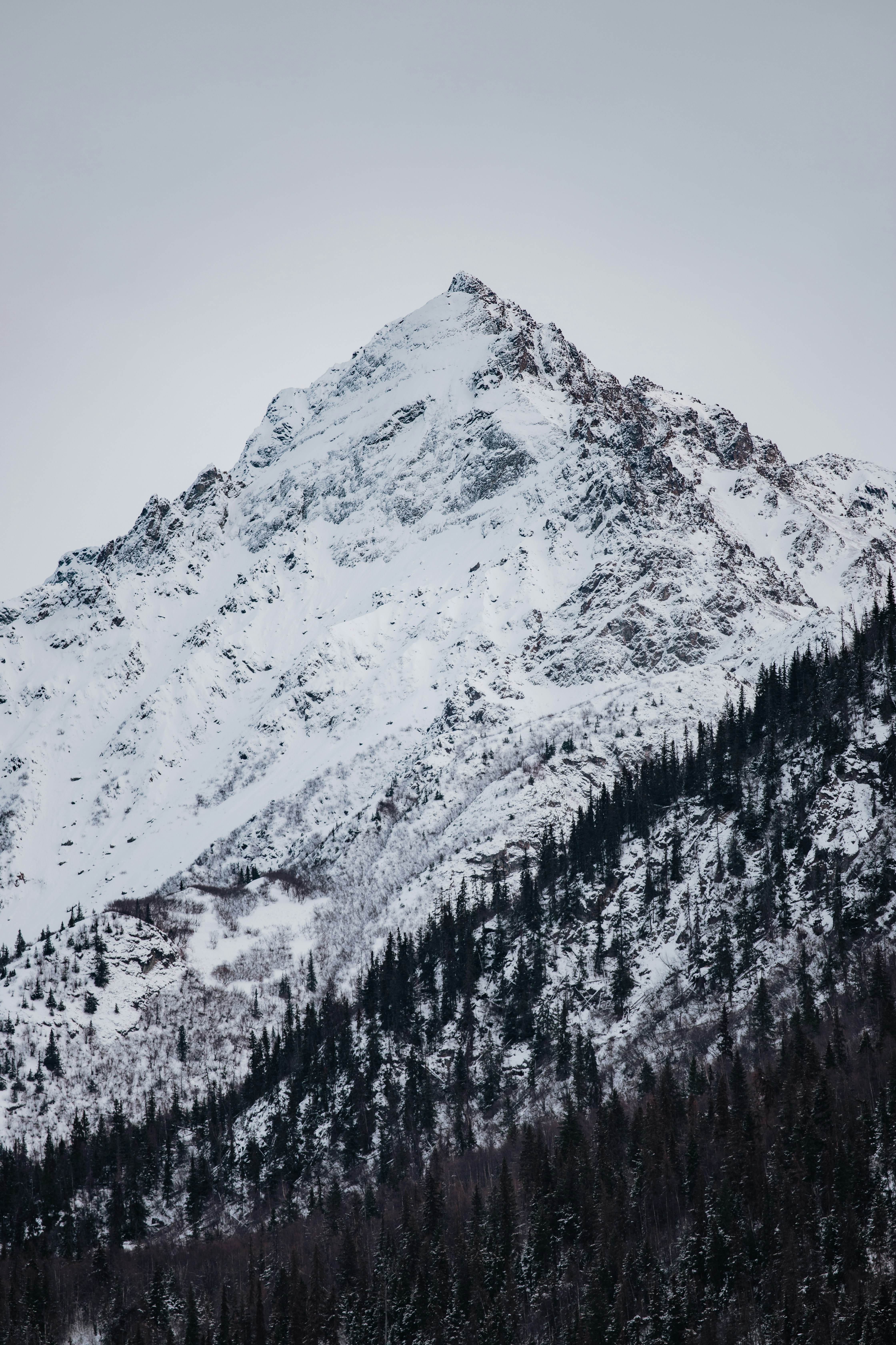 Photo by taylooorann