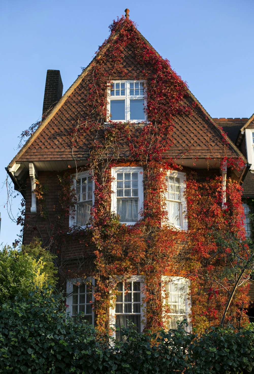 maison en béton brun et blanc