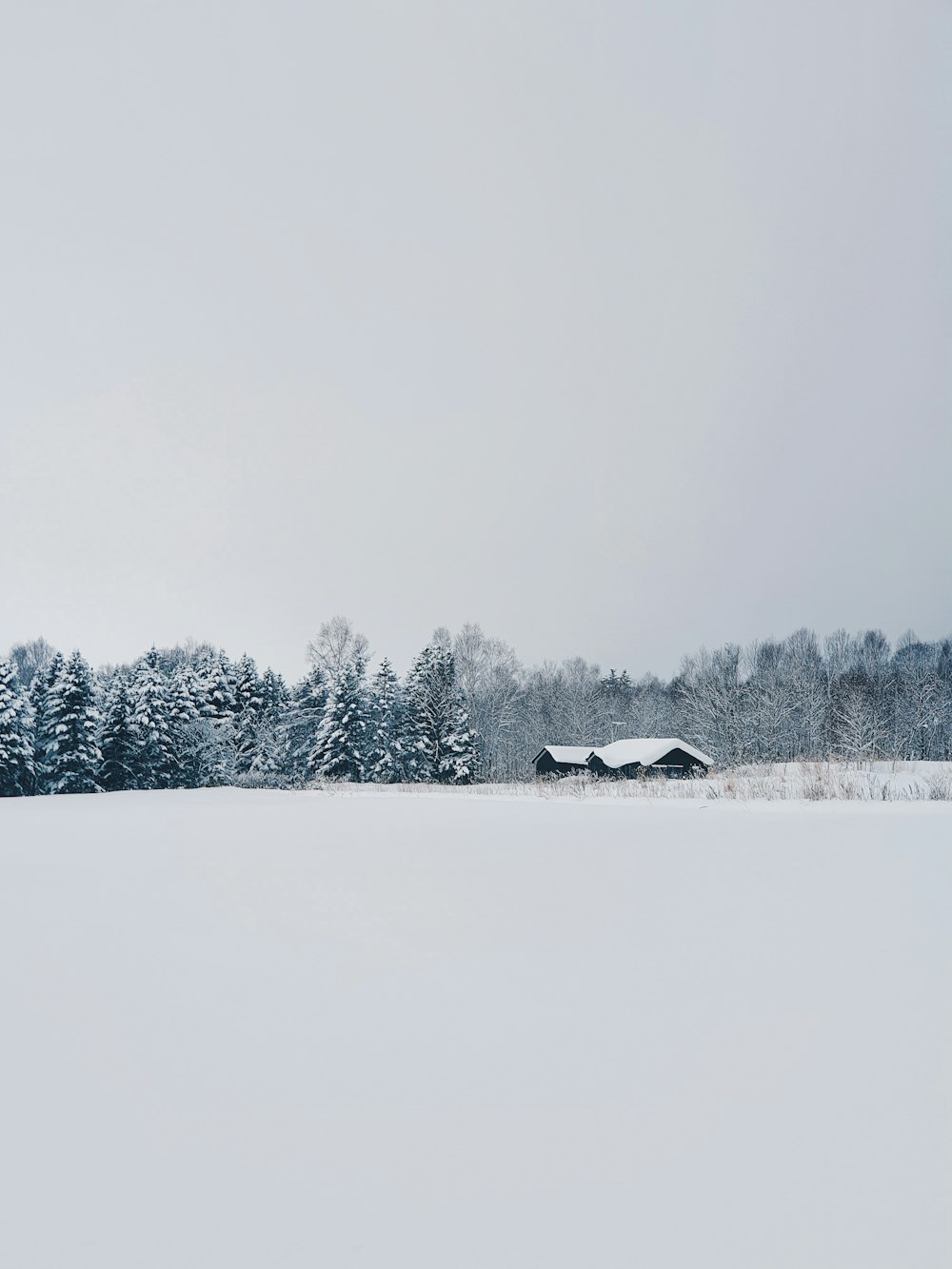 white house on snow covered ground