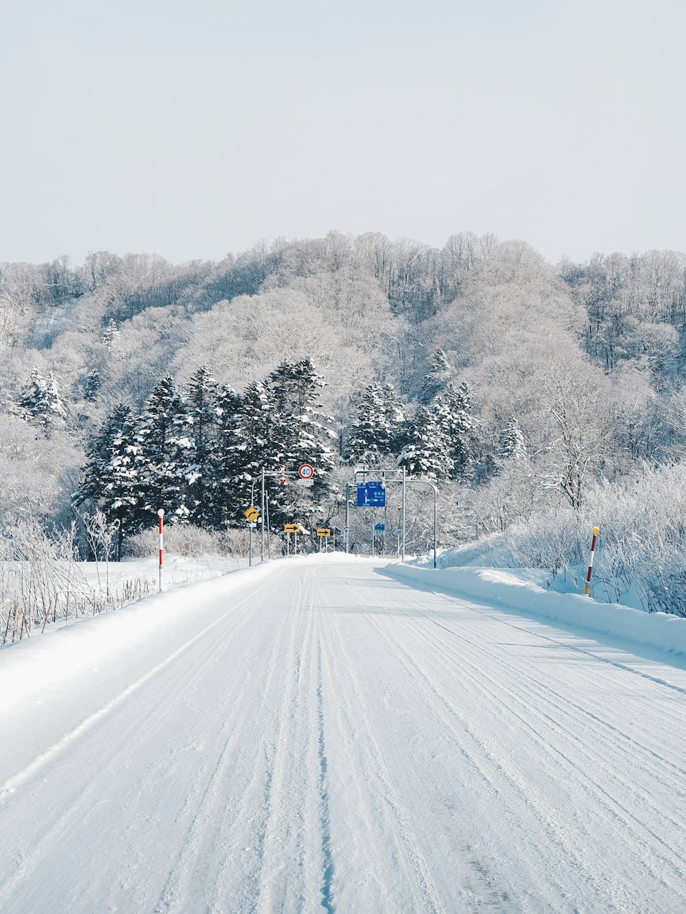 snow covered road between trees during daytime