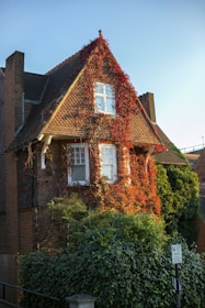 A spacious semi-detached property with potential for renovation, bathed in warm afternoon light.
