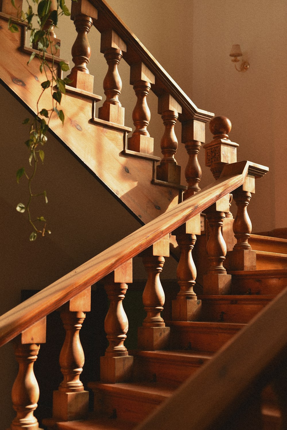 brown wooden staircase with green leaves