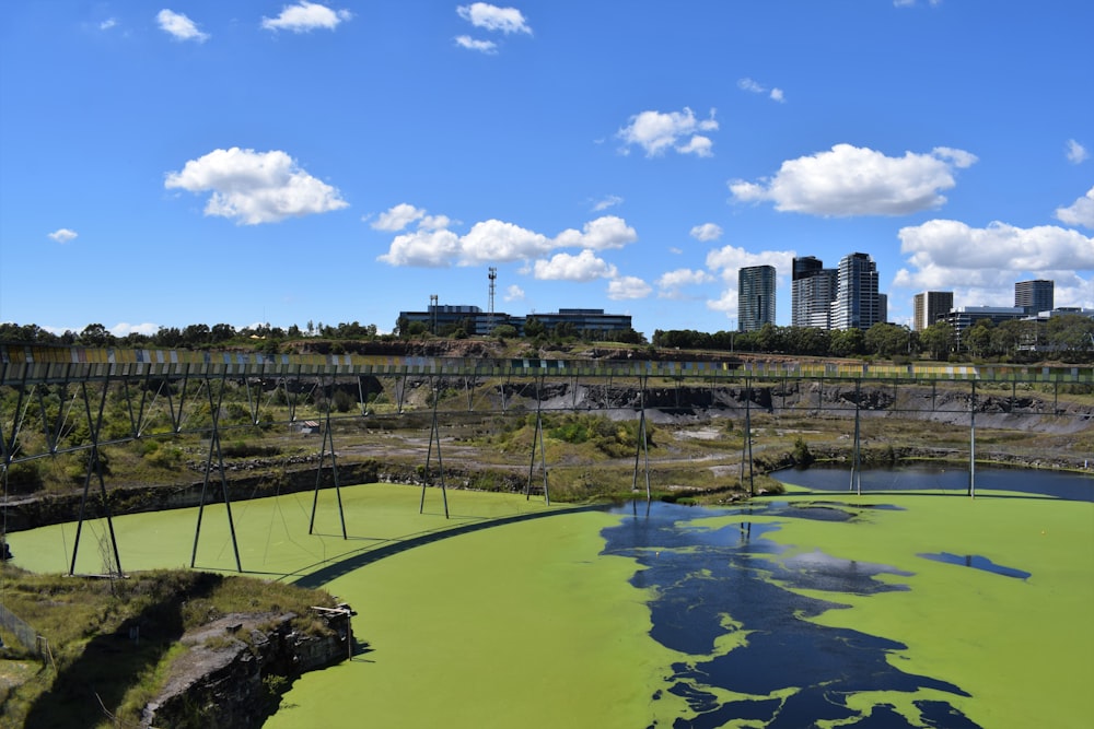 green trees near body of water under blue sky during daytime