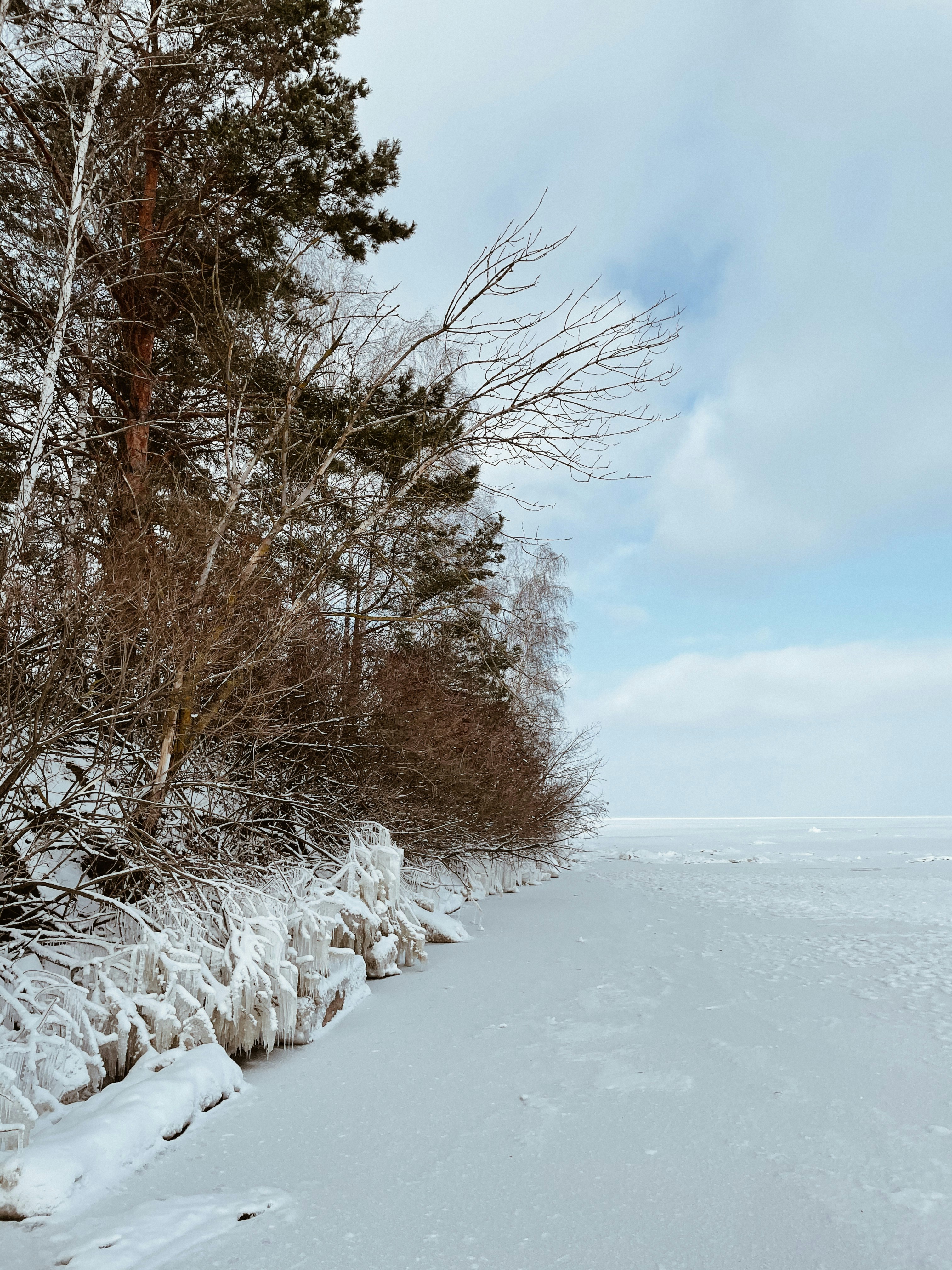 Photo by tanyachuvpylova