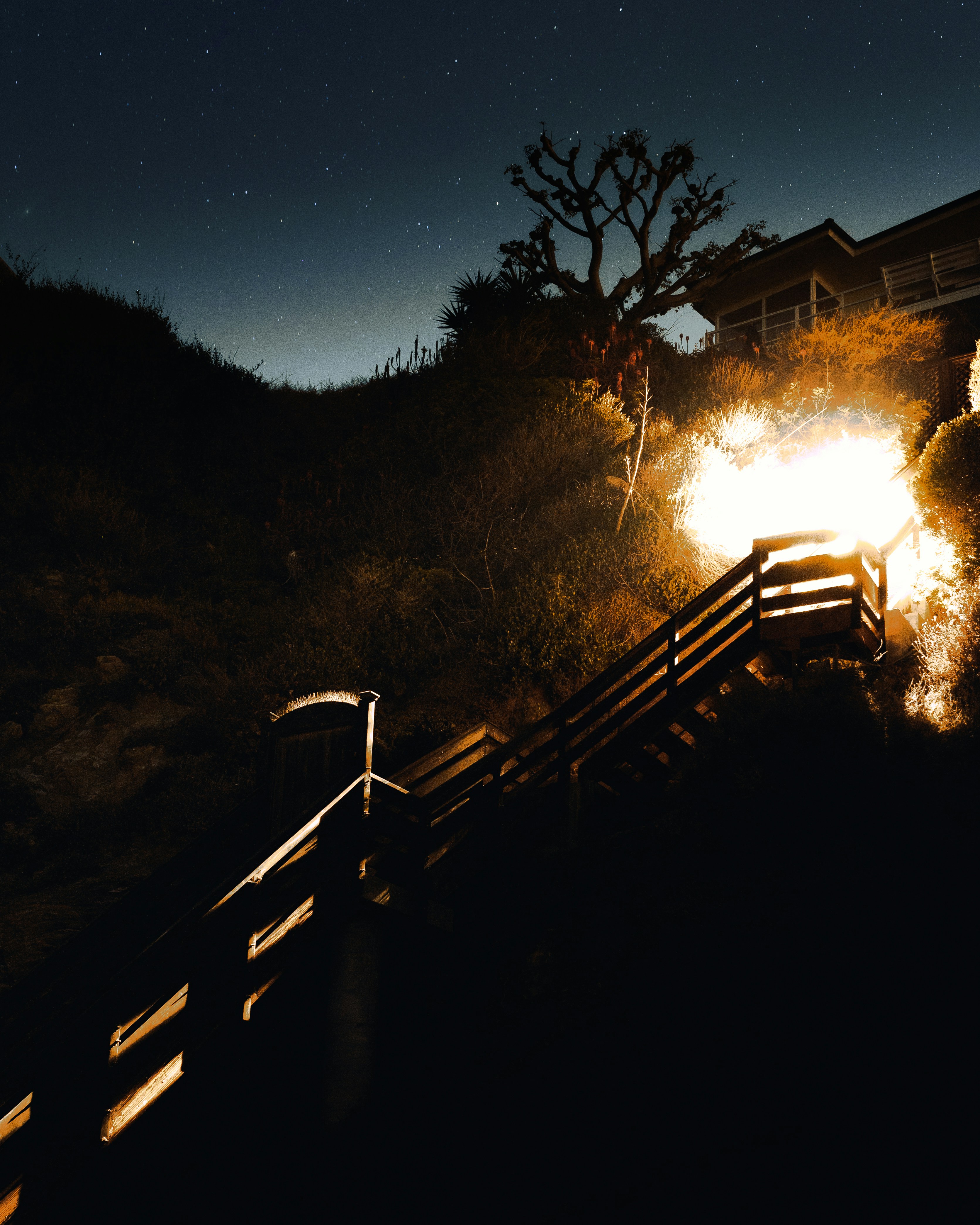 Photo by capturedbyjavi