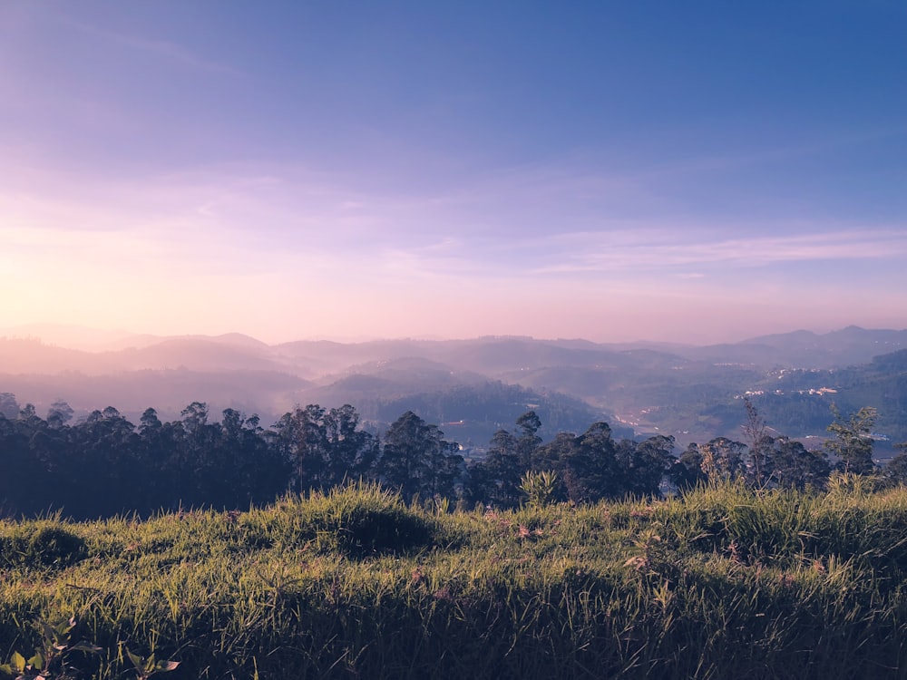 green grass field near mountains during daytime