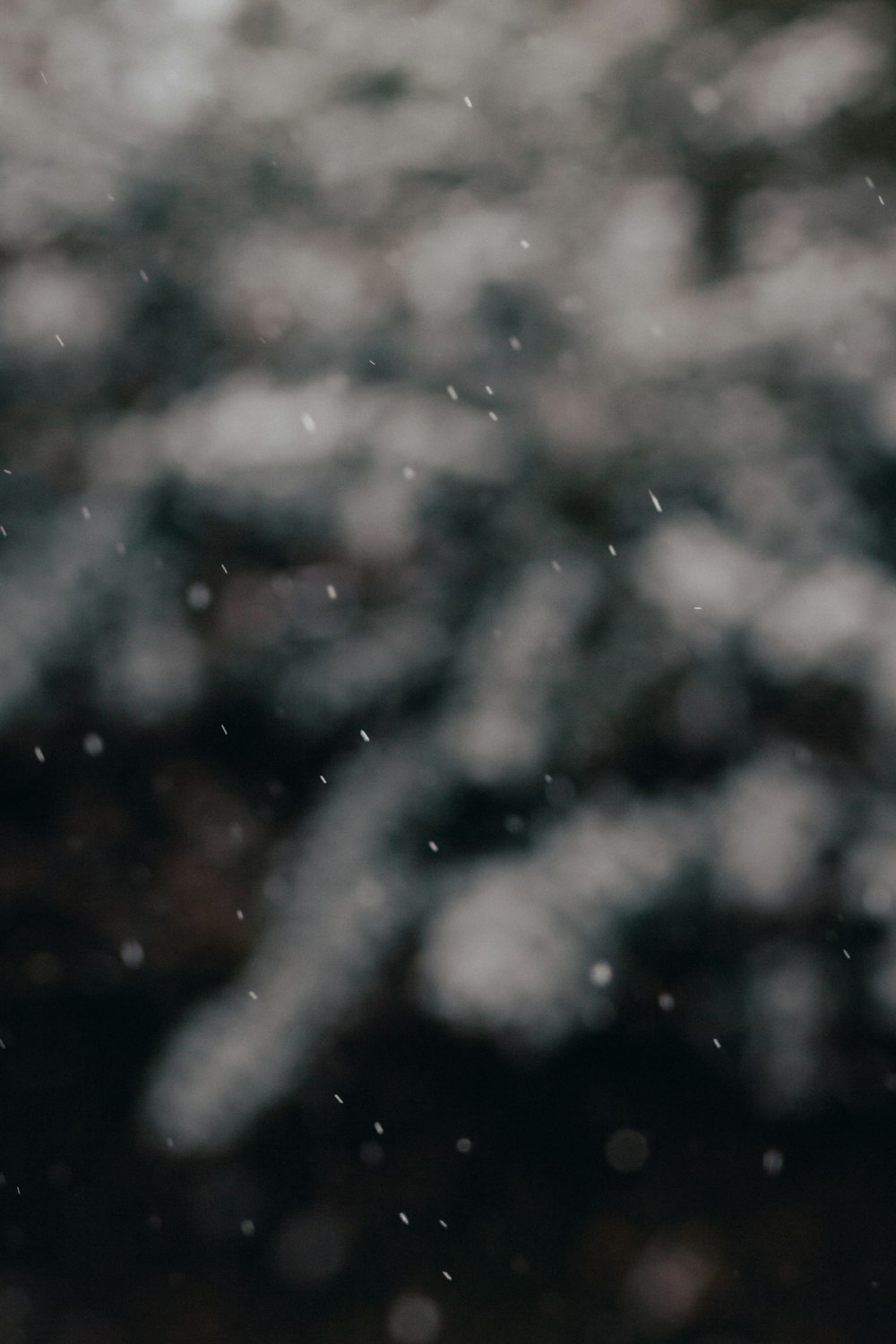 white and brown bokeh lights