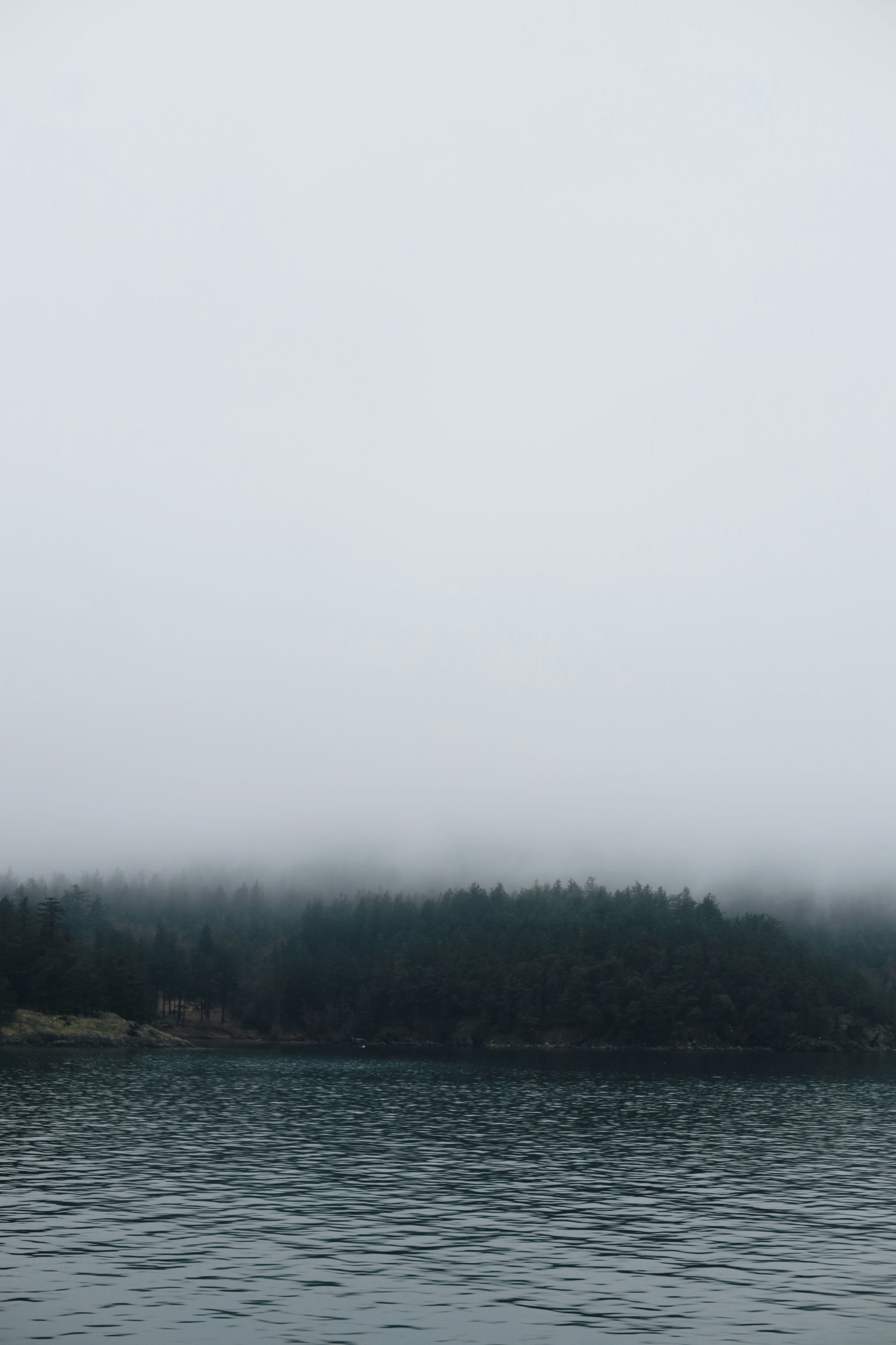 Photo by diofagundes