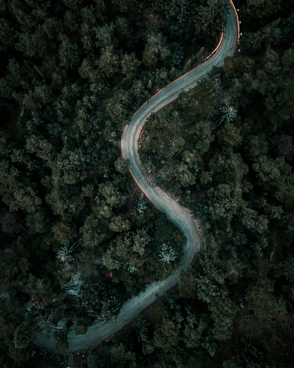 aerial view of road in the middle of trees