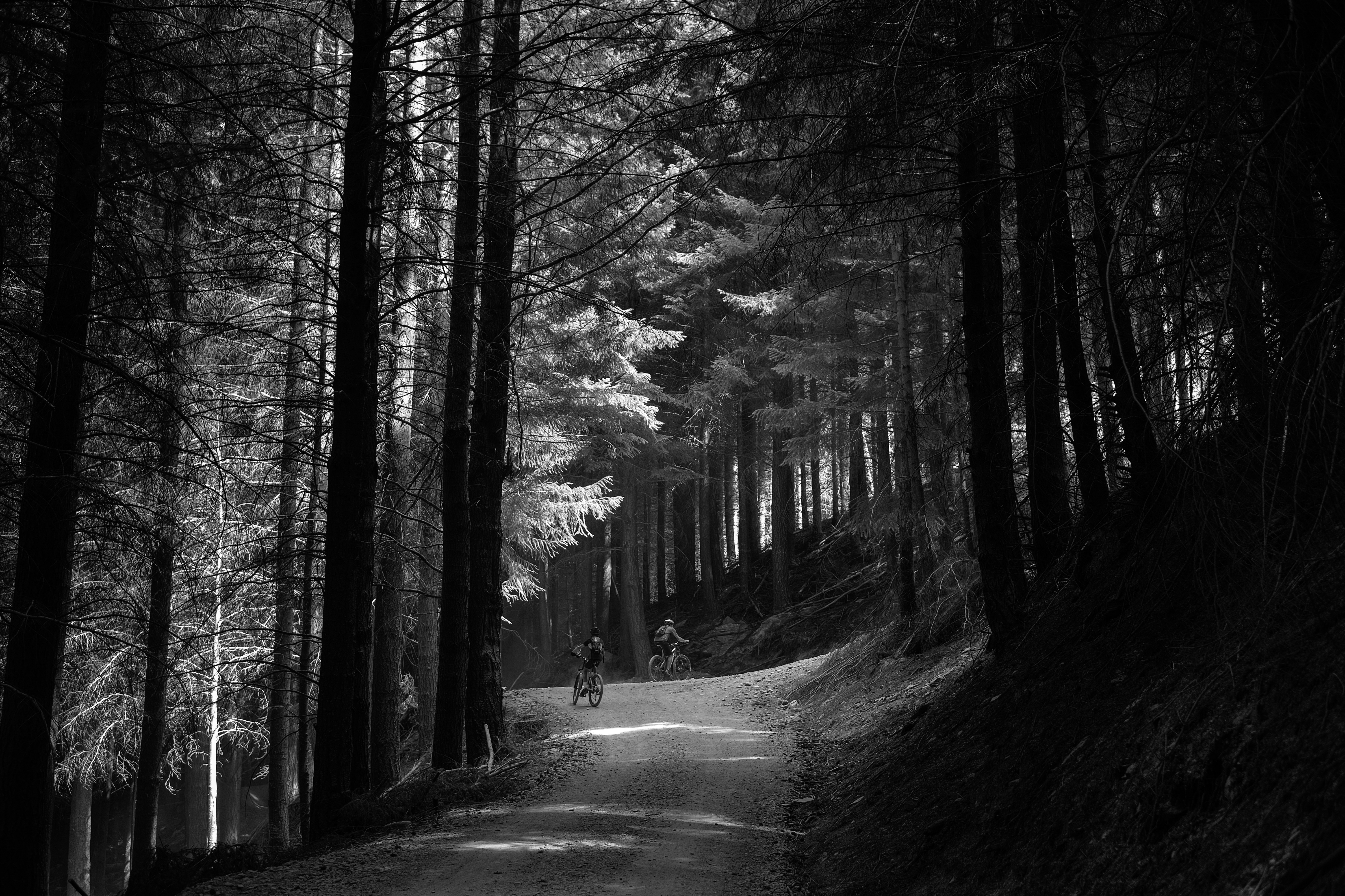 Photo by patricktravelist