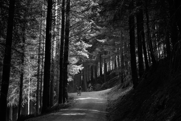 Desaturated grainy photo of five cyclists riding gravel bikes through a misty forest trail near Barcelona.
