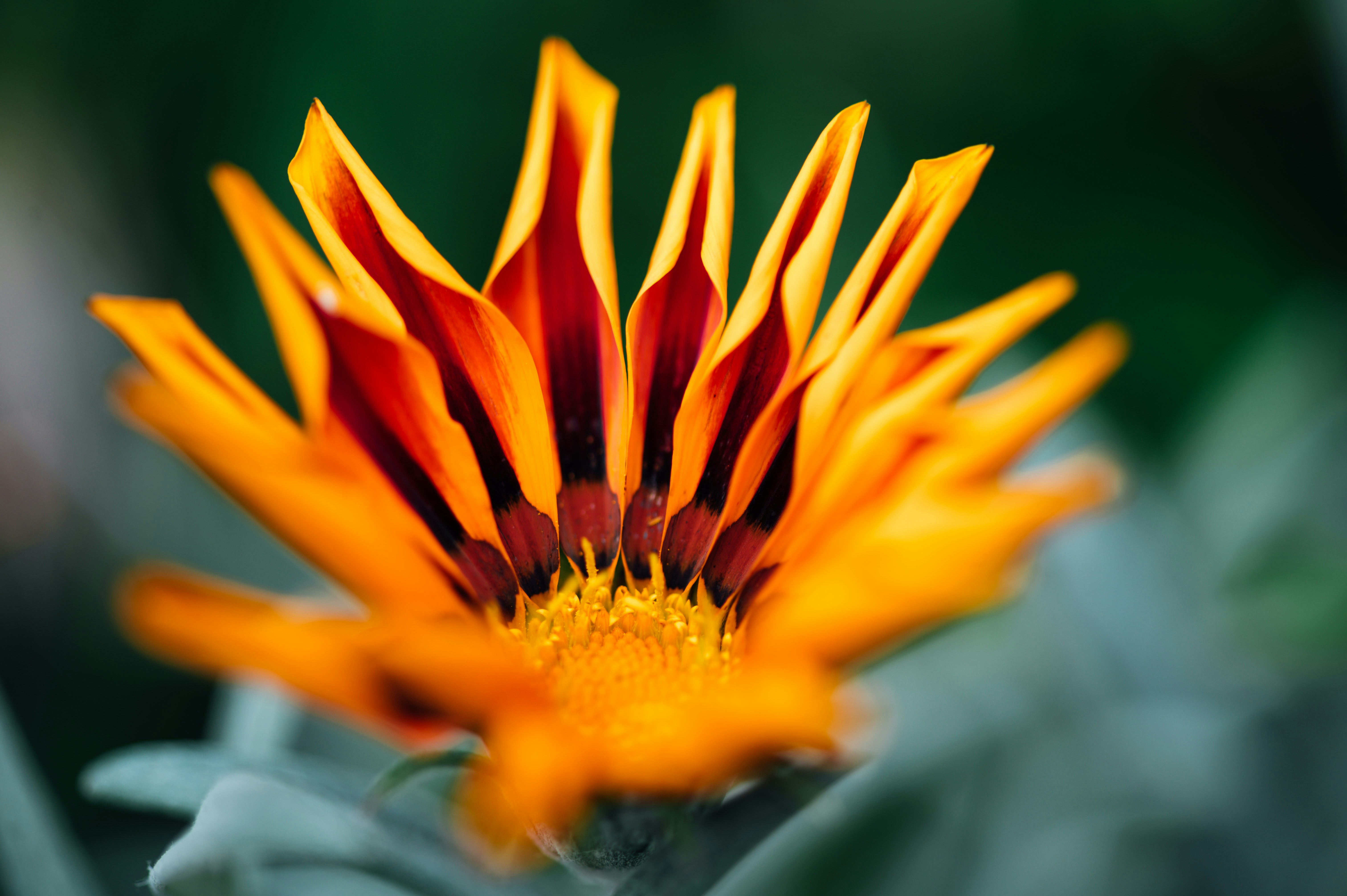 Photo by chuttersnap