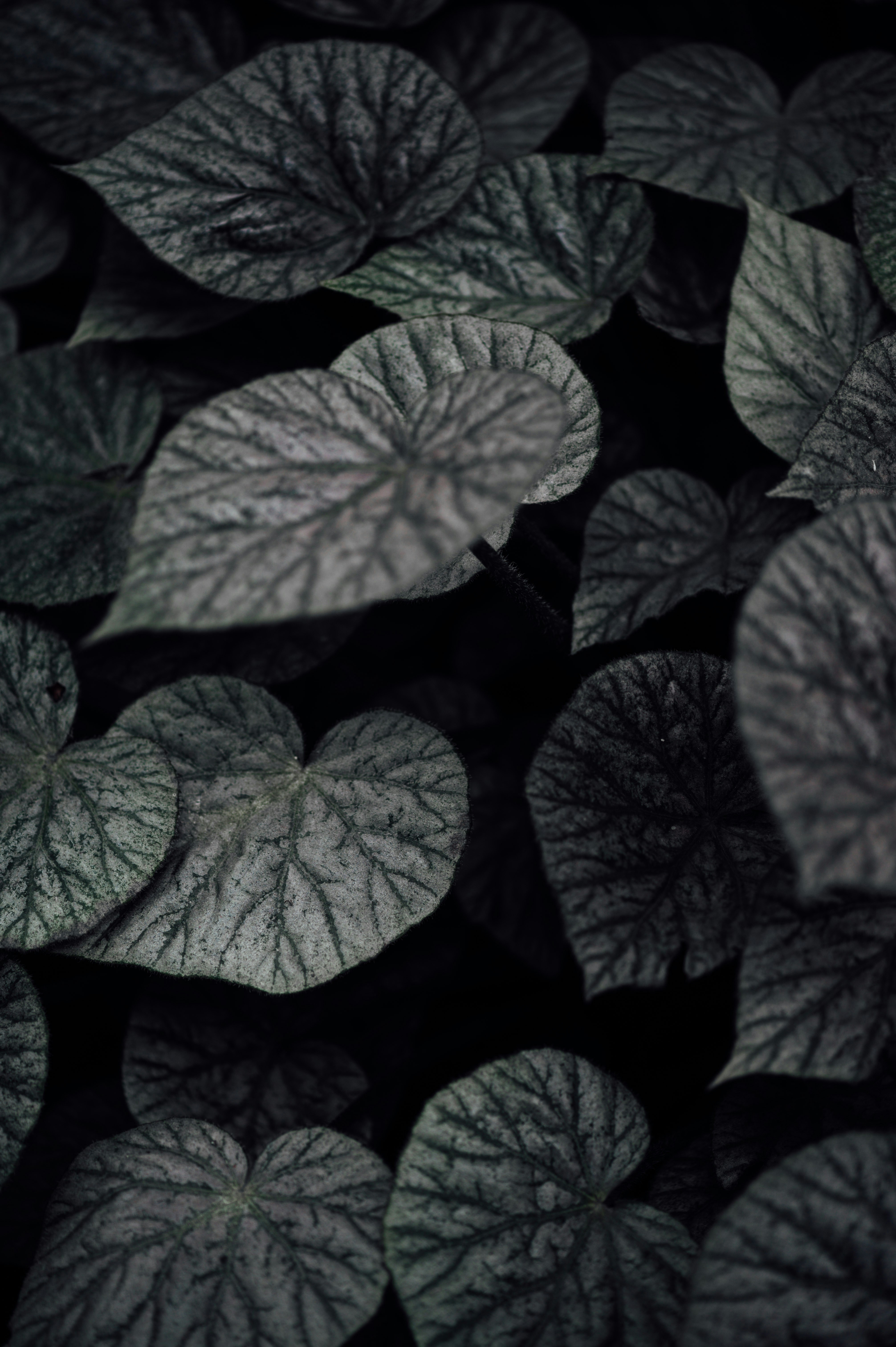 Photo by chuttersnap