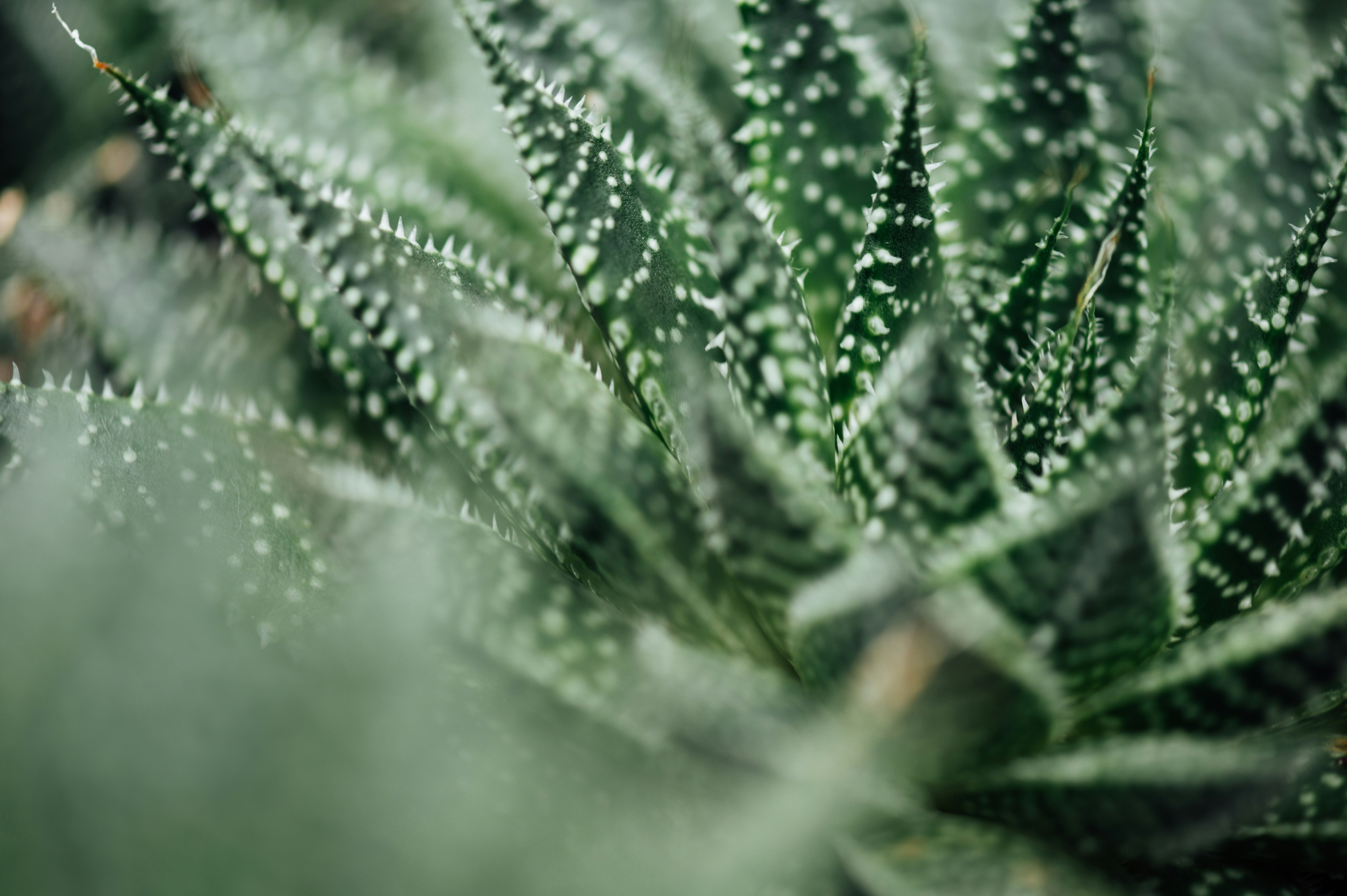 Photo by chuttersnap