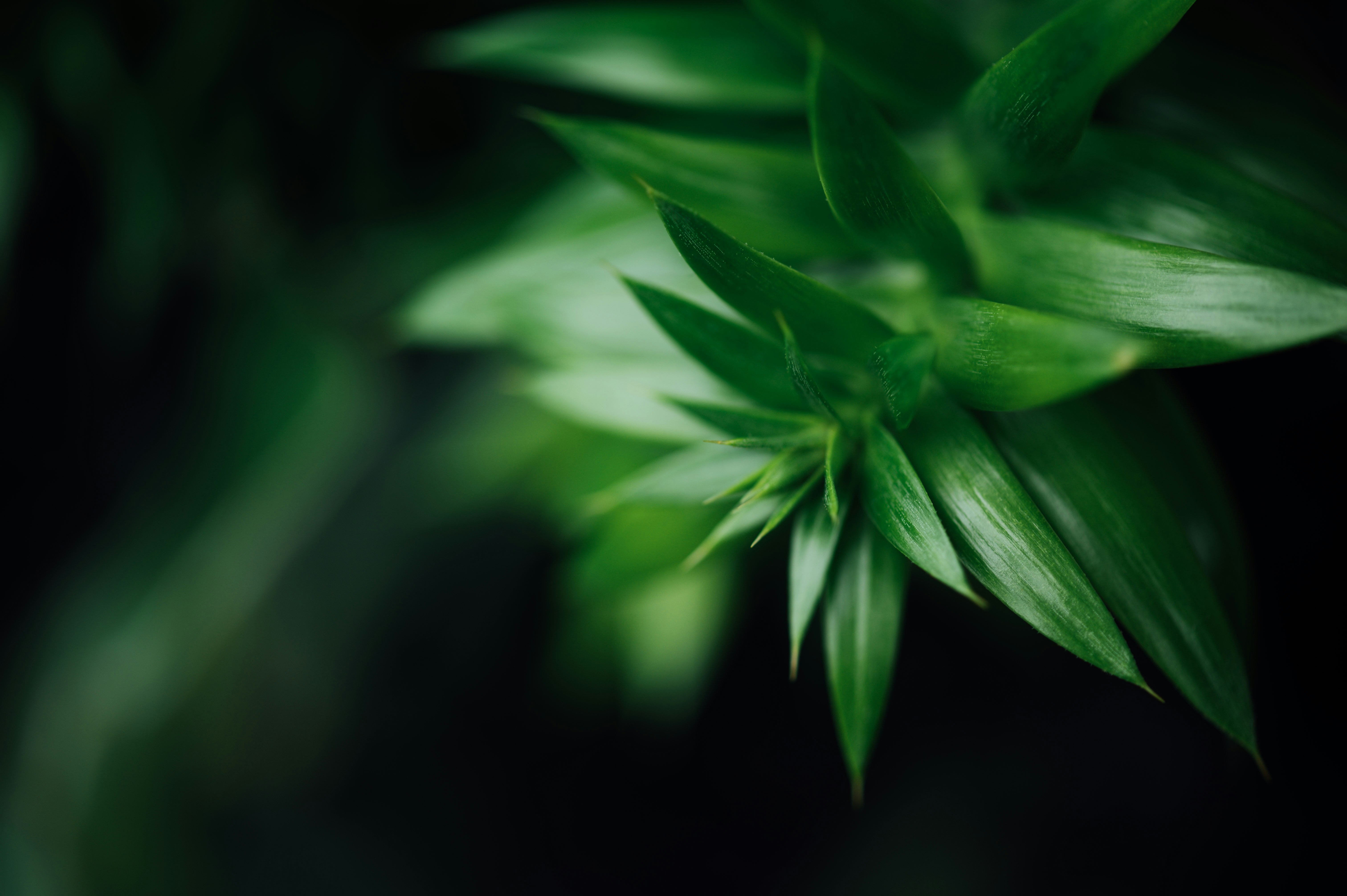 Photo by chuttersnap