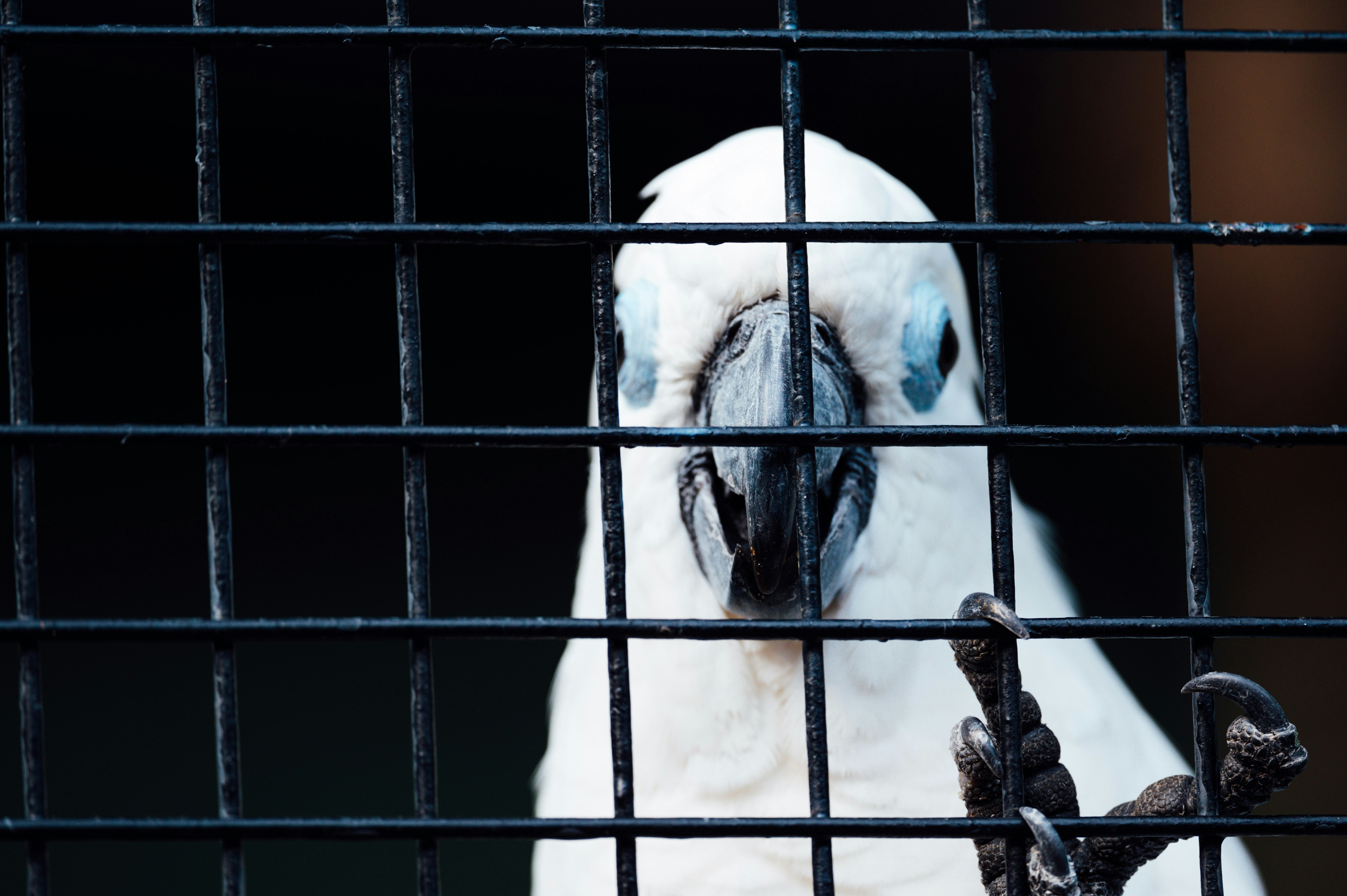 Photo by chuttersnap