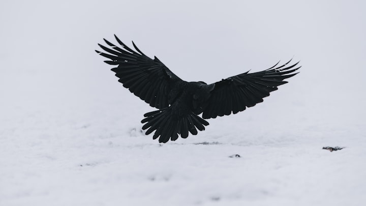 The Raven -- But Not