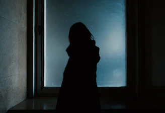 A cinematic still showing the protagonist’s silhouette behind frosted glass.