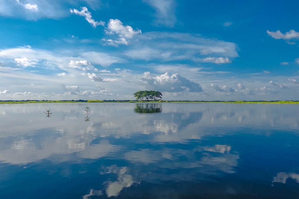 green trees beside body of water under blue sky and white clouds during daytime